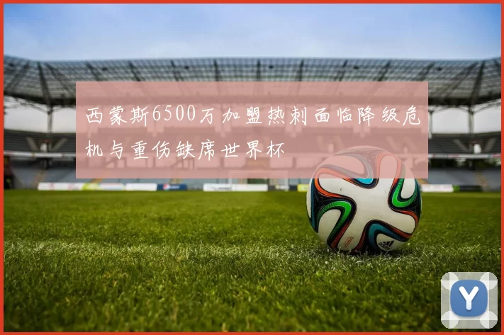 西蒙斯6500万加盟热刺面临降级危机与重伤缺席世界杯
